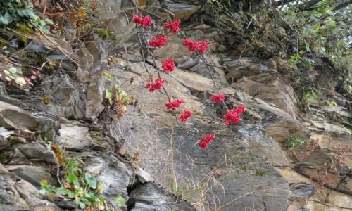 Zdjęcie SZWAJCARIA / Valais / Les Crosetes / Moje wedrowanie