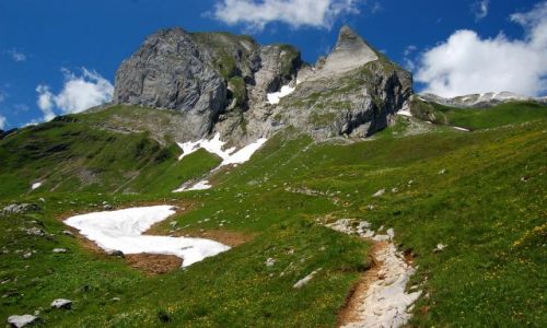 Zdjecie SZWAJCARIA / Alpy Appenzellskie / Alpstein / Wrd alpejskich k...