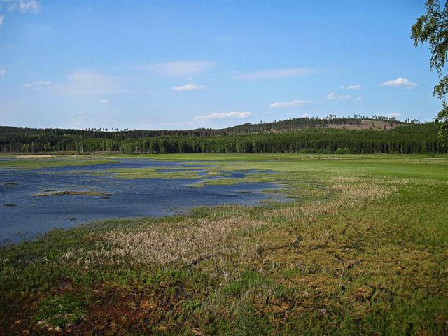Zdjęcia: KLOSTER, DALARNA, REZERWAT  PRZYRODY, SZWECJA Zdjęcia: KLOSTER, DALARNA, REZERWAT  PRZYRODY, SZWECJA