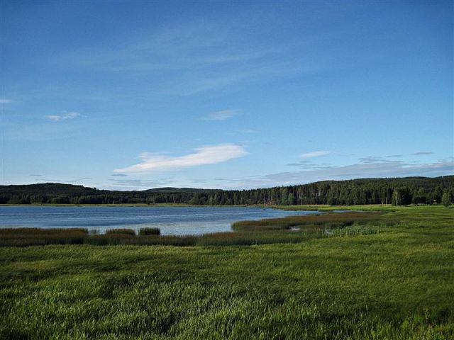 Zdjęcia: HEDEMORA, DALARNA, REZERWAT PRZYRODY, SZWECJA Zdjęcia: HEDEMORA, DALARNA, REZERWAT PRZYRODY, SZWECJA