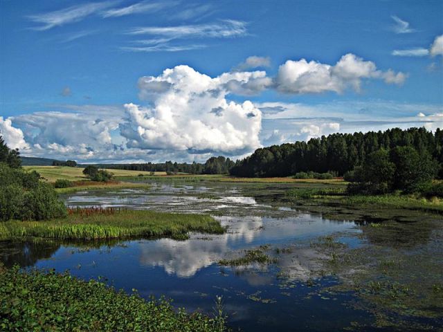 Zdjęcia: OKOLICE BORLANGE, DALARNA, NAD ROZLEWISKIEM, SZWECJA Zdjęcia: OKOLICE BORLANGE, DALARNA, NAD ROZLEWISKIEM, SZWECJA