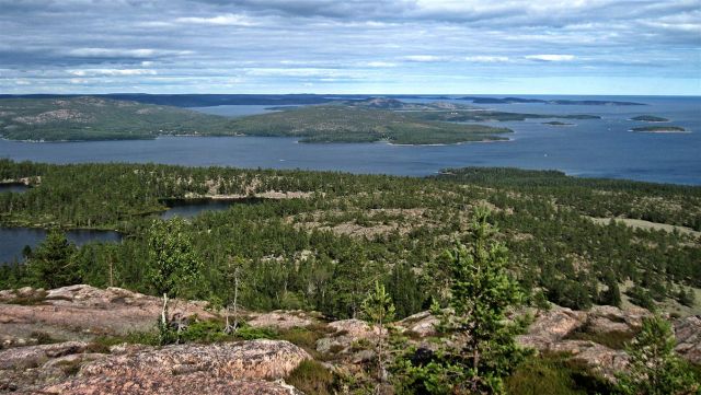 Zdjęcia: SKULESKOGEN NATIONALPARK , GAVLEBORG, SKULESKOGEN NATIONALPARK , SZWECJA Zdjęcia: SKULESKOGEN NATIONALPARK , GAVLEBORG, SKULESKOGEN NATIONALPARK , SZWECJA