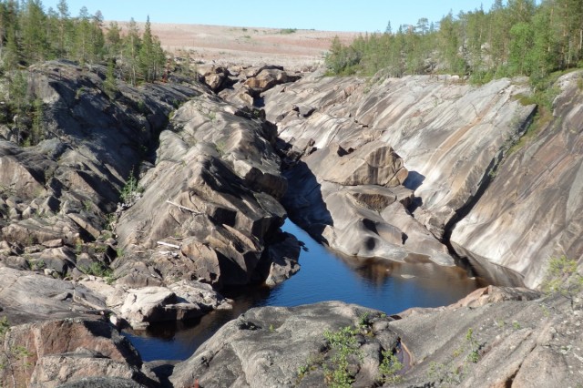 Zdj cia: Muddus Nationalpark, za Jokkmok, Pnocna Szwecja, SZWECJA