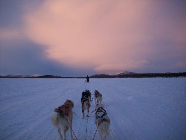 Zdjęcia: Kiruna, Laponia, Sen o wolności.., SZWECJA Zdjęcia: Kiruna, Laponia, Sen o wolności.., SZWECJA