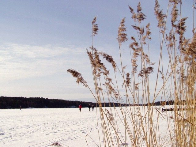 Zdjęcia: stockholm, sponga, zatoka, SZWECJA Zdjęcia: stockholm, sponga, zatoka, SZWECJA