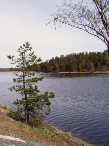 Zdjęcia: jakobsberg, stockholm, jęzioro, SZWECJA Zdjęcia: jakobsberg, stockholm, jęzioro, SZWECJA