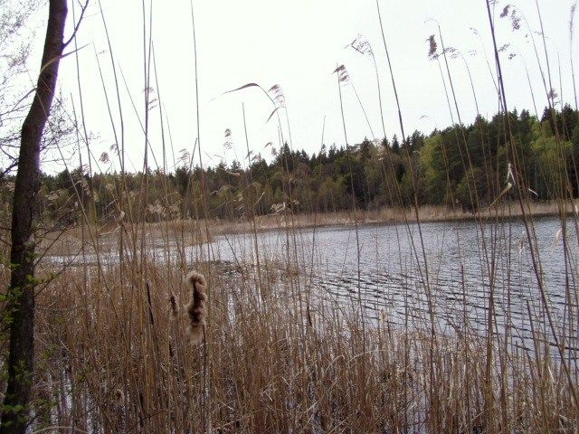 Zdjęcia: jakobsberg, stockholm, jęzioro, SZWECJA Zdjęcia: jakobsberg, stockholm, jęzioro, SZWECJA