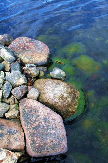 Zdjęcia: Orranas, Blekinge, Szwedzkie nadmorze 1, SZWECJA Zdjęcia: Orranas, Blekinge, Szwedzkie nadmorze 1, SZWECJA