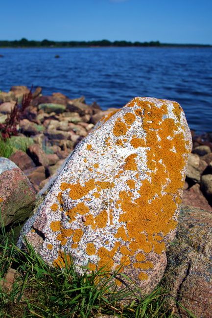 Zdjęcia: Orranas, Blekinge, Szwedzkie nadmorze 9, SZWECJA Zdjęcia: Orranas, Blekinge, Szwedzkie nadmorze 9, SZWECJA