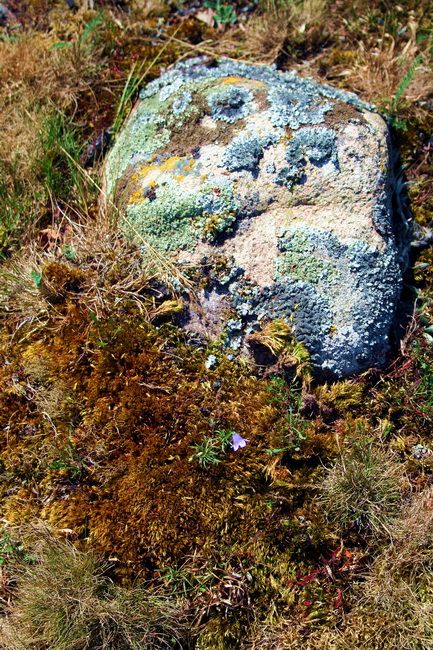Zdjęcia: Orranas, Blekinge, Szwedzkie nadmorze 13, SZWECJA Zdjęcia: Orranas, Blekinge, Szwedzkie nadmorze 13, SZWECJA