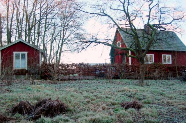Zdjęcia: okolice Helsingborga, Skane, zima w Szwecji, SZWECJA Zdjęcia: okolice Helsingborga, Skane, zima w Szwecji, SZWECJA