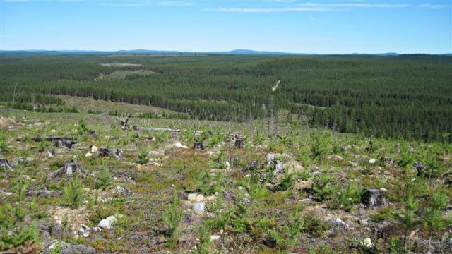 Zdjęcia: OKOLICE MALA, VASTERBOTTEN-LAPONIA, UKOJENIE DUSZY, SZWECJA Zdjęcia: OKOLICE MALA, VASTERBOTTEN-LAPONIA, UKOJENIE DUSZY, SZWECJA