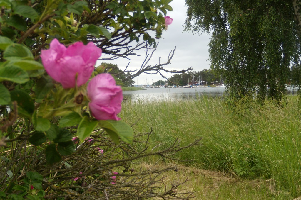 Zdjęcia: Kalmar, Kalmar lan, Rowerem po Szwecji 2011, SZWECJA Zdjęcia: Kalmar, Kalmar lan, Rowerem po Szwecji 2011, SZWECJA