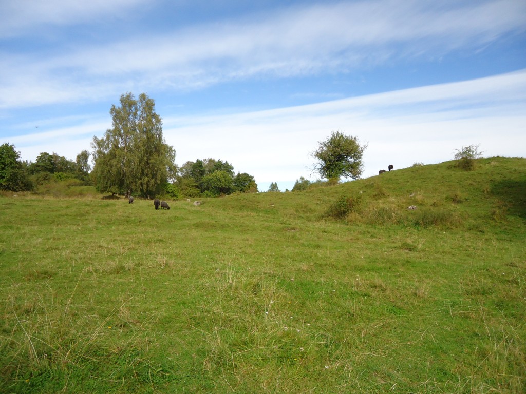 Zdjęcia: Hovgarden, Sztokholm / Ekero, Hovgarden, SZWECJA Zdjęcia: Hovgarden, Sztokholm / Ekero, Hovgarden, SZWECJA