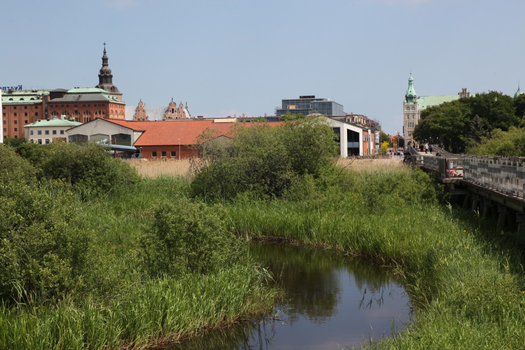 Zdjęcia: Kristianstad , Skania, Park Naturum w Kristianstad , SZWECJA Zdjęcia: Kristianstad , Skania, Park Naturum w Kristianstad , SZWECJA