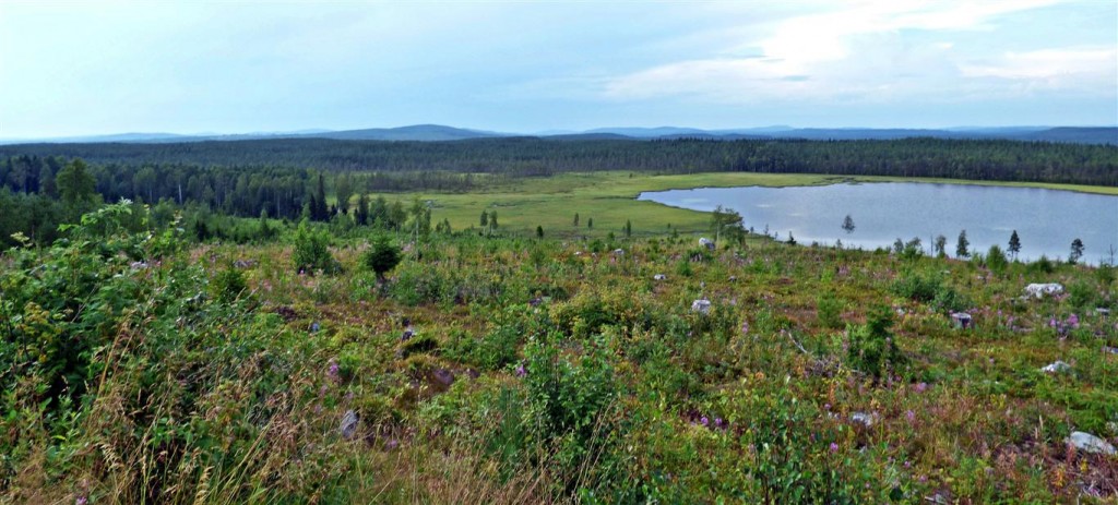 Zdjęcia: Okolice Lycksele-Laponia, Vasterbotten, Laponia, SZWECJA Zdjęcia: Okolice Lycksele-Laponia, Vasterbotten, Laponia, SZWECJA