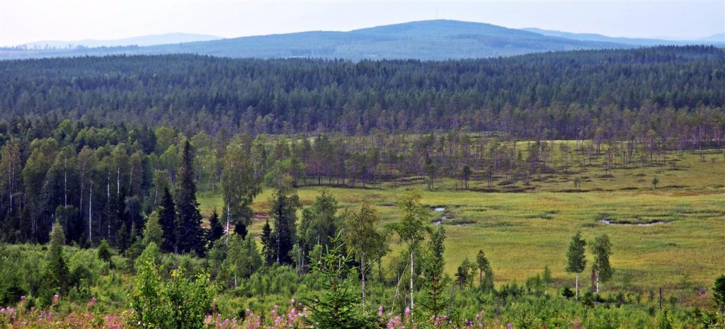 Zdjęcia: Okolice Lycksele-Laponia, Vasterbotten, Laponia 2, SZWECJA Zdjęcia: Okolice Lycksele-Laponia, Vasterbotten, Laponia 2, SZWECJA