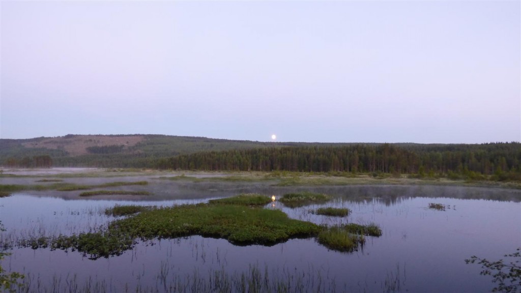 Zdjęcia: Okolice Storuman-Laponia, Vasterbotten, Białe noce, SZWECJA Zdjęcia: Okolice Storuman-Laponia, Vasterbotten, Białe noce, SZWECJA
