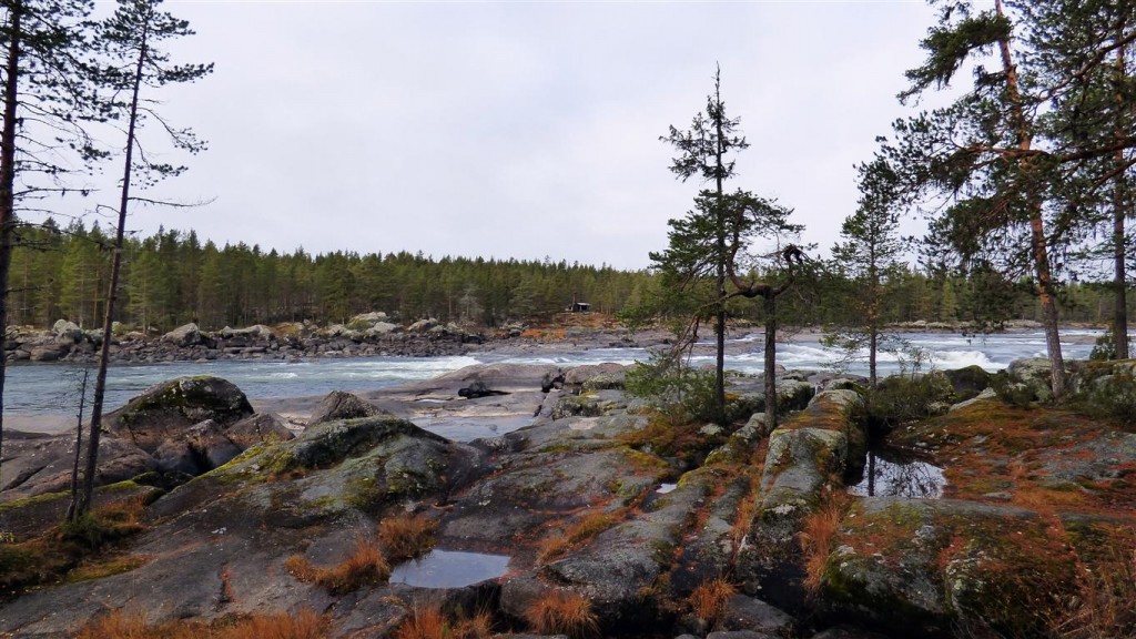 Zdjęcia: Okolice Lycksele-Laponia, Vasterbotten, Nad Vindelalven, SZWECJA Zdjęcia: Okolice Lycksele-Laponia, Vasterbotten, Nad Vindelalven, SZWECJA
