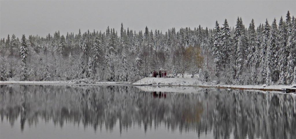 Zdjęcia: Okolice Asele, Vasterbotten, Zimowa kraina 2, SZWECJA Zdjęcia: Okolice Asele, Vasterbotten, Zimowa kraina 2, SZWECJA