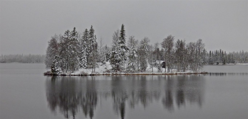Zdjęcia: Okolice Asele, Vasterbotten, Zimowa kraina, SZWECJA Zdjęcia: Okolice Asele, Vasterbotten, Zimowa kraina, SZWECJA