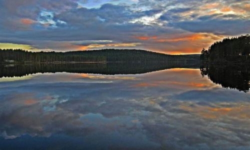 Zdjcie SZWECJA / DALARNA / OKOLICE LUDVIKA / ZACHD SOCA W DALARNIE