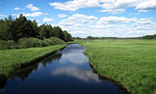 Zdjecie SZWECJA / GAVLEBORG / OKOLICE HEDESUNDA / Park Narodowy Farnebofjarden