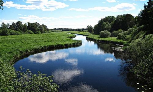 Zdjecie SZWECJA / GAVLEBORG / OKOLICE HEDESUNDA / Park Narodowy Farnebofjarden