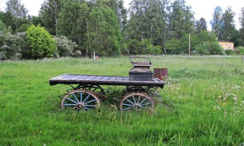 Zdjecie SZWECJA / DALARNA / OKOLICE AVESTA / Dla koneserw...