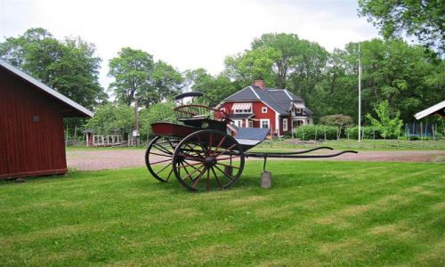 Zdjcie SZWECJA / DALARNA / OKOLICE AVESTA / Dla koneserw...