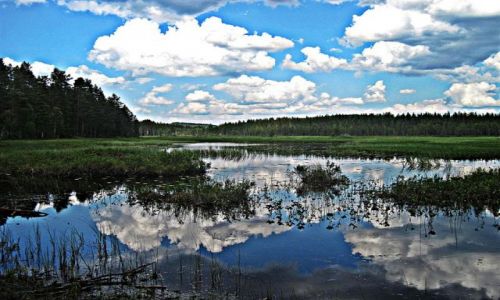 Zdjecie SZWECJA / GAVLEBORG / OKOLICE HEDESUNDA / Park Narodowy Farnebofjarden