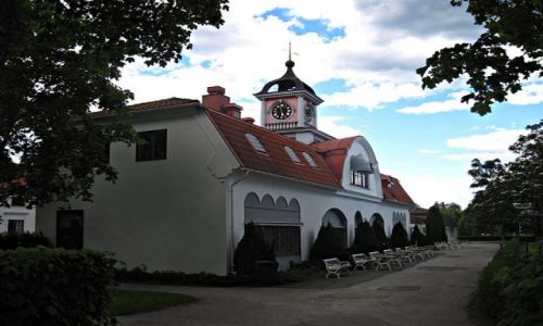 Zdjcie SZWECJA / GAVLEBORG / GYSINGE BRUK / ZABYTKOWA ORANERIA