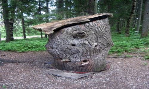 Zdjecie SZWECJA / DALARNA / OKOLICE LUDVIKA / Z MIOCI DO PTAKW