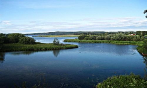 Zdjecie SZWECJA / DALARNA / HEDEMORA / REZERWAT  PRZYRODY