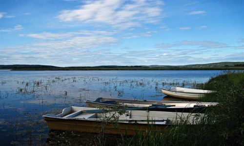Zdjcie SZWECJA / DALARNA / HEDEMORA / OCZEKIWANIE