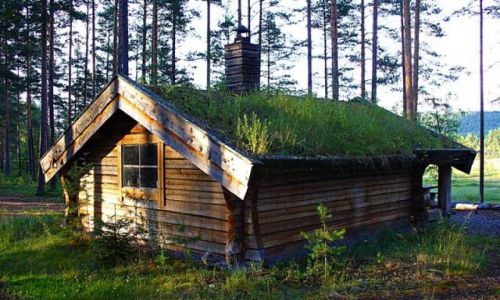 Zdjecie SZWECJA / DALARNA / OKOLICE LUDVIKA / DOMEK W LESIE
