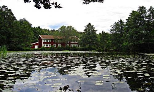 Zdjcie SZWECJA / VASTMANLAND / ENGELSBERG / NAD STAWEM