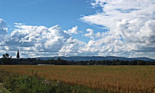 Zdjcie SZWECJA / DALARNA / OKOLICE BORLANGE / CZAS NA NIWA