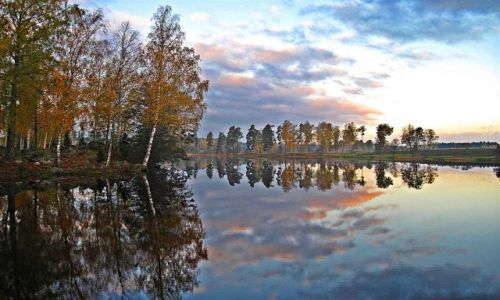 Zdjcie SZWECJA / VASTMANLAND / OKOLICE RAMNAS / SZWEDZKA JESIE