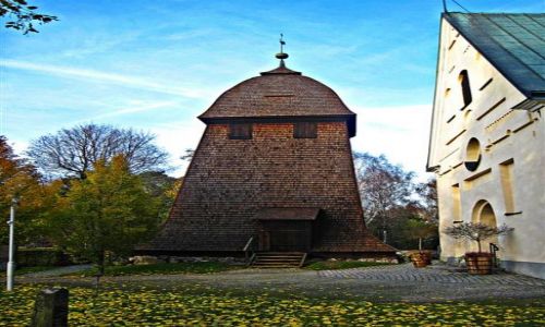 Zdjcie SZWECJA / VASTMANLAND / BADELUNDA / KOCIӣ  W  BADELUNDA