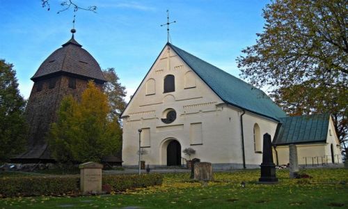 Zdjcie SZWECJA / VASTMANLAND / BADELUNDA / KOCIӣ  W  BADELUNDA