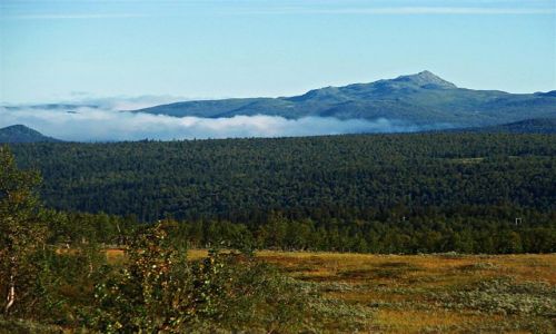 Zdjecie SZWECJA / NORRBOTTEN / OKOLICE JOKKMOKK / LAPONIA