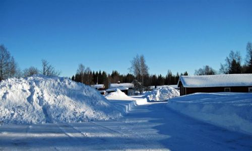 Zdjecie SZWECJA / VASTERBOTTEN / OKOLICE  MALA / ZIMA  W  LAPONII