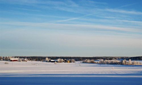 Zdjecie SZWECJA / VASTERBOTTEN / OKOLICE UMEA / ZIMOWY OBRAZEK