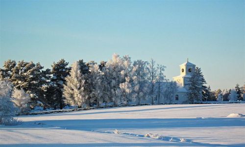 Zdjecie SZWECJA / VASTERBOTTEN / OKOLICE UMEA / W BIAEJ TONACJI