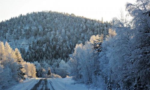Zdjcie SZWECJA / VASTERBOTTEN / OKOLICE  MALA / ZIMOWA LAPONIA