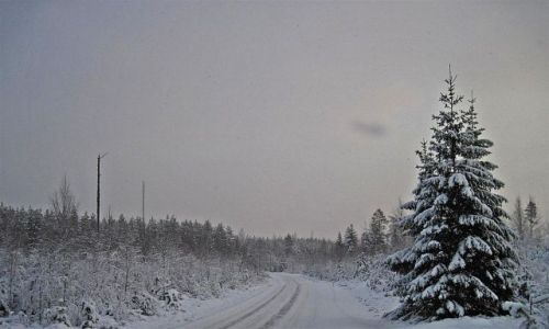 Zdjecie SZWECJA / VASTMANLAND / OKOLICE SALA / CIGLE  PADA