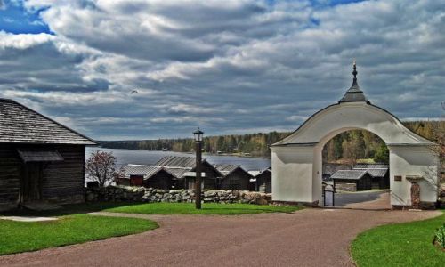 Zdjcie SZWECJA / DALARNA / RATTVIK / KOCIӣ  W  RATTVIK