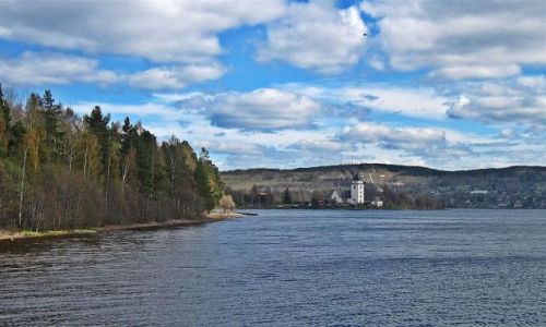 Zdjecie SZWECJA / DALARNA / RATTVIK / KOCIӣ  W  RATTVIK
