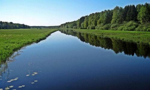 Zdjecie SZWECJA / VASTMANLAND / OKOLICE  SURAHAMMAR / TYLKO ZIELE I BKIT  2